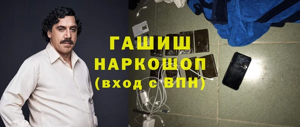 соль ск Дмитриев