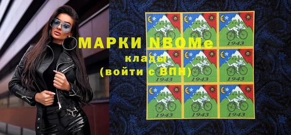 молекула духа Ельня