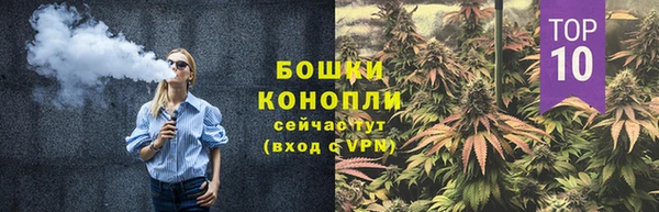 соль ск Дмитриев