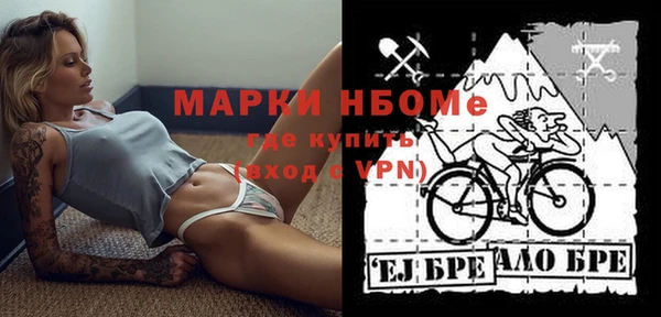 соль ск Дмитриев