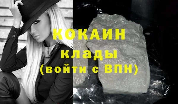 молекула духа Ельня