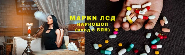 соль ск Дмитриев