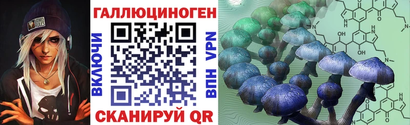 Купить где Ишим Псилоцибиновые грибы Cubensis